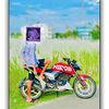 nirobgazi31
