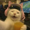 manusiaaerr