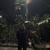 dharaneyupdates
