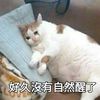 aabbcco_oa