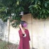 linnaye4