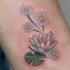 lotusdaisy00