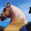 le_cheval_du_63