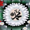 shumaila69920