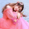user094276407