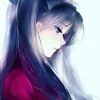 nn_951