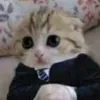 choko_pie0