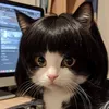 leehyn245