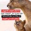 rasha866770257