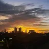 restii_0662