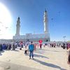 arfah_641