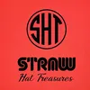 s_h_t4
