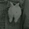 sally_loves_larry