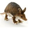 armadillo_ov