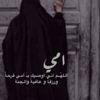 tayab.v6