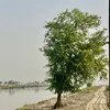 imranalikhan20177