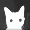 thewhitemonsterconsumer
