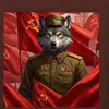 siberian_black_wolf_