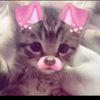 suhana_abro