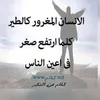 user337560226
