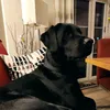 0815olaf