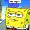 rene_845