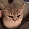 vembruh