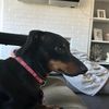chris_7395