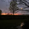lewisd_s