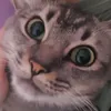 julia291111