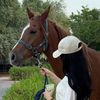 Maryam🐎