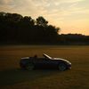 tofu_nd1