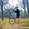 luisguedezbeto73