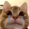 nhathoang601