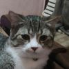 callmeuppy_