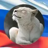 yulia410145395