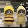 baal_fx