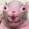 eterrnittyy
