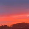 notamelia_26