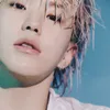 shua.shines