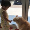 lilocat.lady