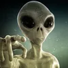 alecjay