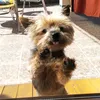 rodriig23