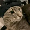 nigel_roblox