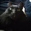 im.meil.qq