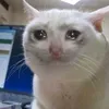 makikanggg