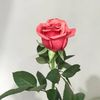 sxzli_11