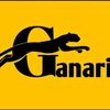 gaanari
