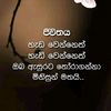 user96902862