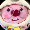 accphu_cuasushi